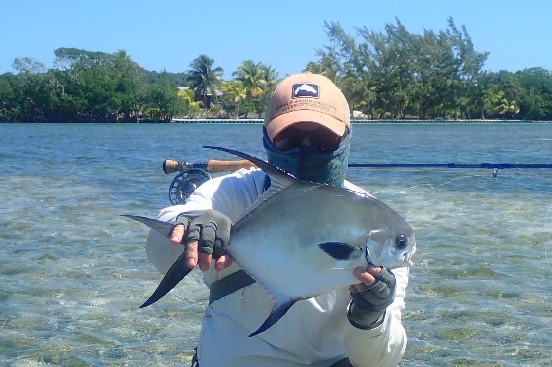 Permit Fish