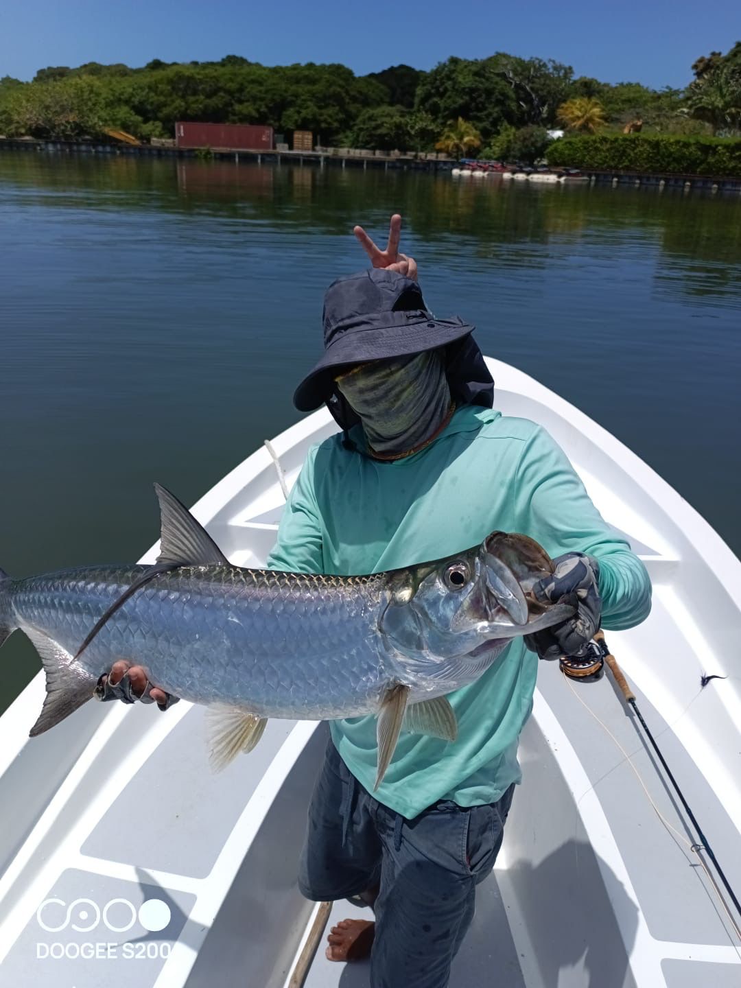 Tarpon Fishing