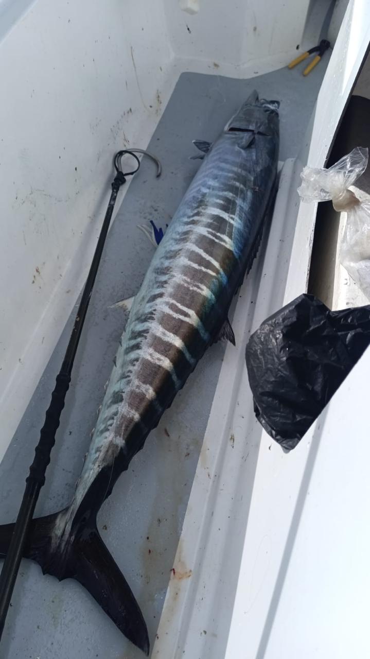 Big Wahoo