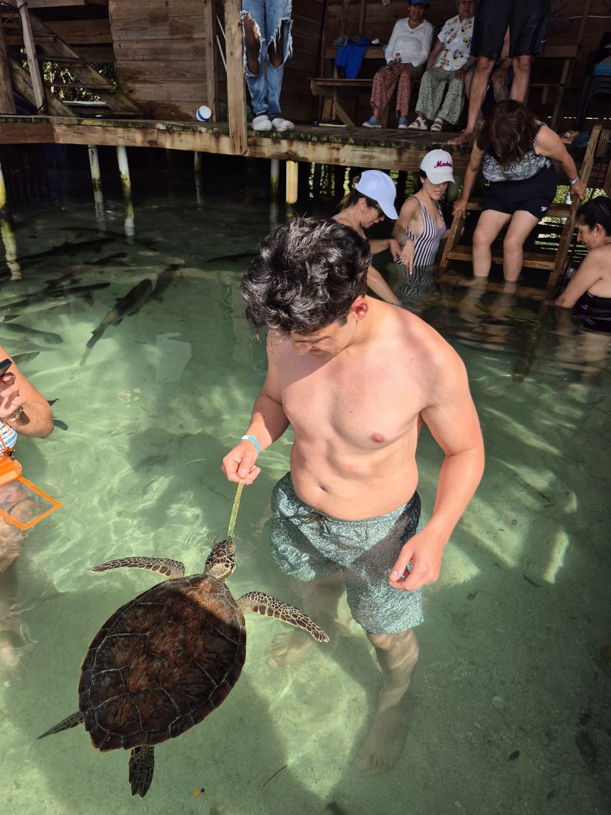 The Fish Crawl
