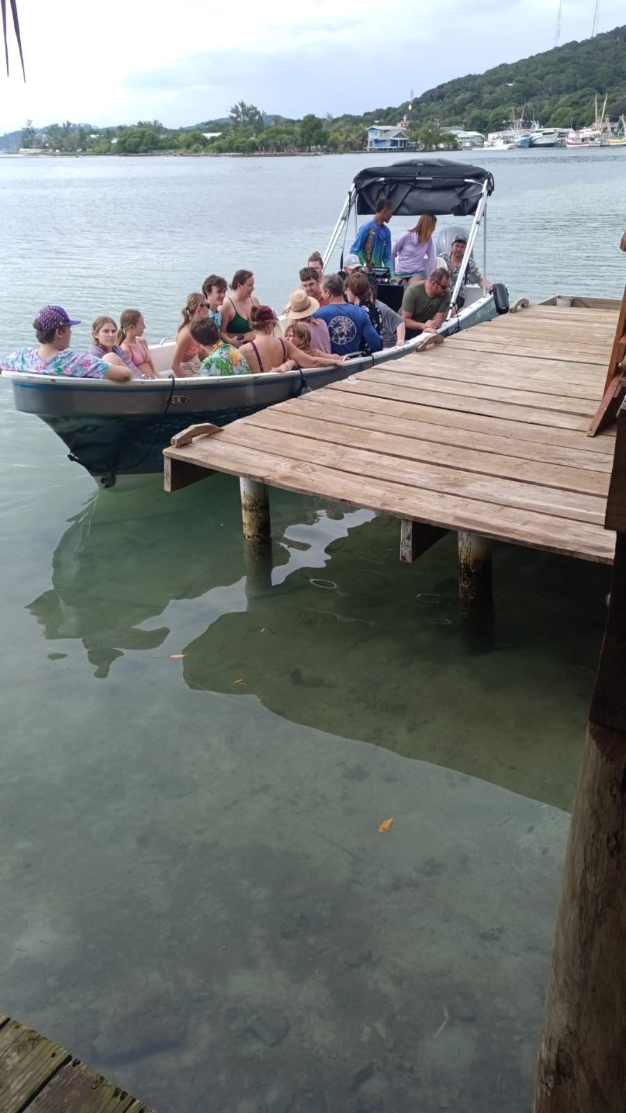 Panga Boat
