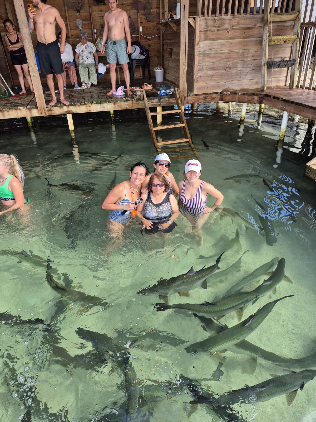 The Fish Crawl